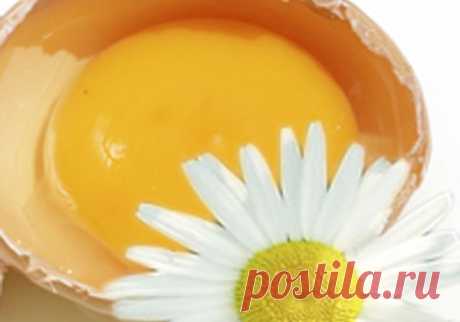 Яичные маски для лица – универсальный уход за вашей кожей! | Блог Ирины Зайцевой