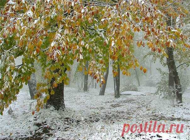 ЗАГОВОРЫ,ОБРЯДЫ И РИТУАЛЫ НА ПЕРВЫЙ СНЕГ