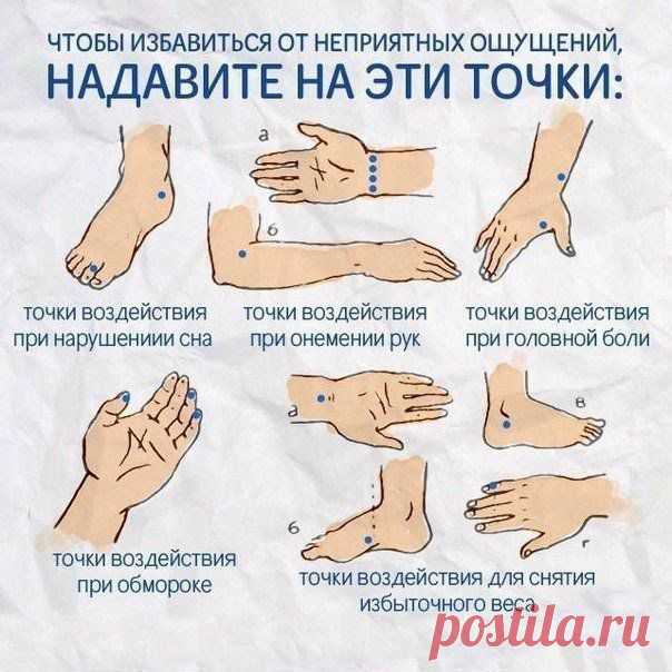 Философия красоты и здоровья