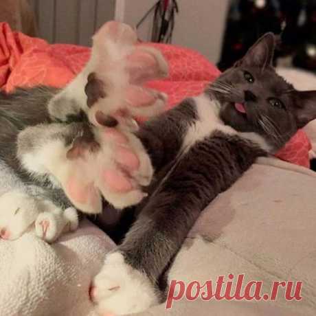 Добрейшего утра!