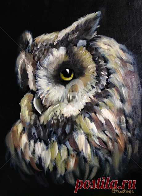 Owl Painting Night Birds Nature Art Blac, Картина - Anastasia Arsenova | Artmajeur Купить искусство от Anastasia Arsenova (Бесплатная доставка, Безопасная прямая покупка): Картина под названием "Owl painting Night birds Nature art Black decor"