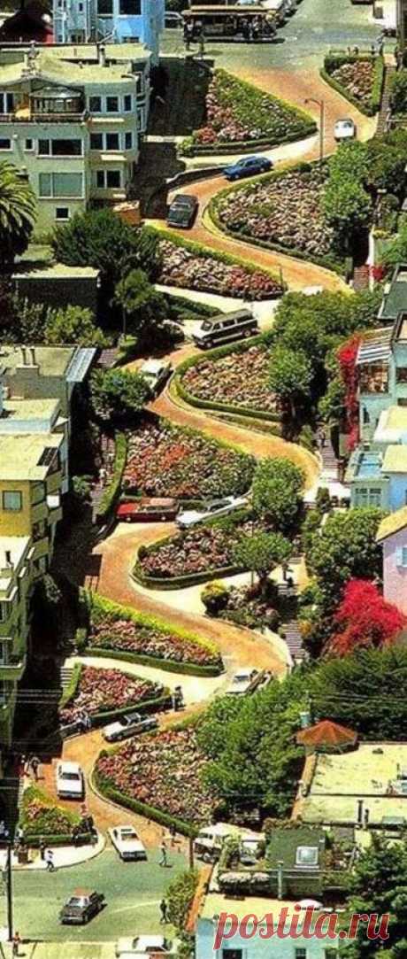 Lombard Street in San Francisco, California | Valerie Gallegos приколол(а) это к доске travel
