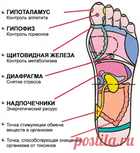 Рефлексология стопы: эти 7 активных точек способны вернуть тебя к жизни за пару минут