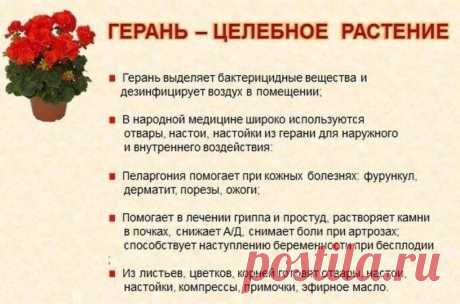 (1) Мой Мир@Mail.Ru