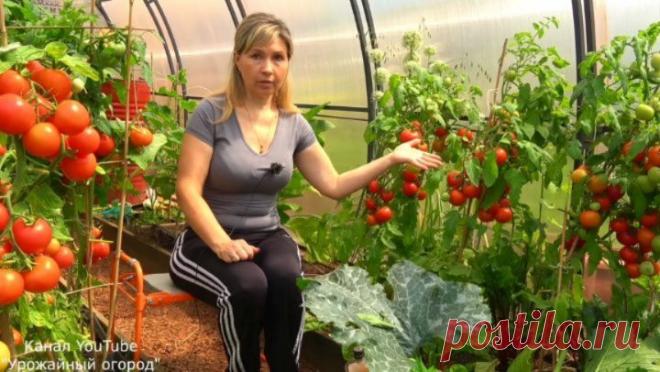 овощи и фрукты с огорода. овощи на грядке. грунт плодородный 10л урожайная грядка 4сезона 2727126. хитрости садовода. магазины урожайная грядка в москве фирмы седек.