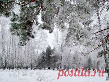 ФОТОМАСТЕРСКАЯ ПРИРОДЫ
Валентина Кобцева
