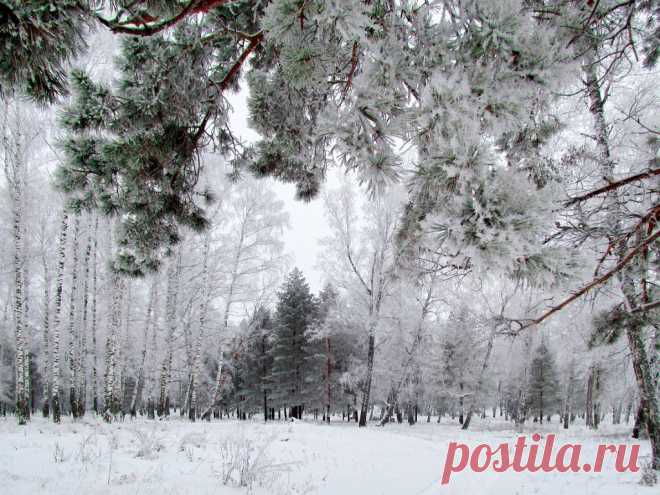 ФОТОМАСТЕРСКАЯ ПРИРОДЫ
Валентина Кобцева