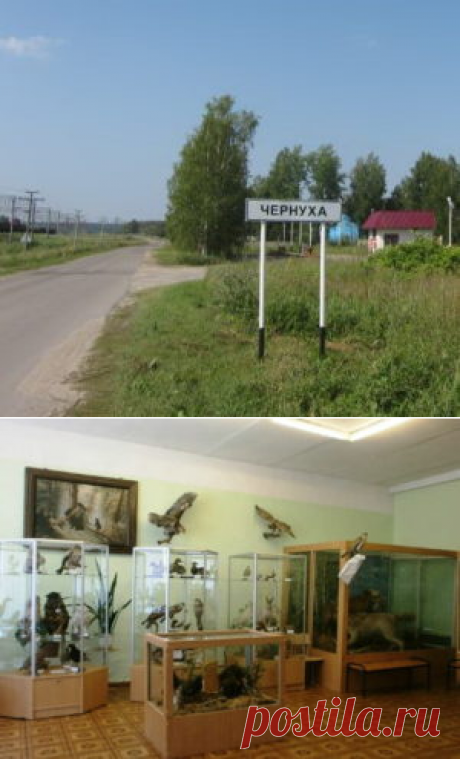 Музей Природа им. С.И.Трофимова(село Чернуха)
