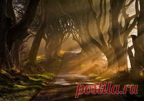 1X - The Road Goes Ever On &amp; On by Gary McParland