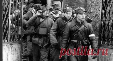 10 марта 1944 года несколько сотен боевиков из польской Армии Крайовой совершили нападение на украинское село Сахрынь. Также в акции участвовали бойцы крестьянских батальонов, набранные из польских колонистов в соседних деревнях.