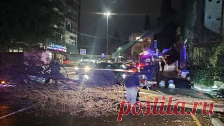 При падении дерева в Сочи погиб человек. Во время шторма в Сочи при падении дерева погиб человек. Об этом сообщает ТАСС со ссылкой на Южный региональный поисково-спасательный отряд МЧС РФ. Инцидент произошел в ночь на воскресенье, 24 декабря. &quot;Один человек погиб при ...