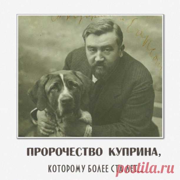 Время вздорожало до того, что скоро начнут ночь превращать в день, ибо уже чувствуется потребность в такой удвоенной жизни. Сделка, требовавшая раньше целых месяцев, теперь оканчивается в пять минут. Но уж и эта чертовская скорость не удовлетворяет нашему нетерпению... Скоро мы будем видеть друг друга по проволоке на расстоянии сотен и тысяч верст!.. А между тем всего пятьдесят лет тому назад наши предки, собираясь из деревни в губернию, не спеша служили молебен и пускалис...