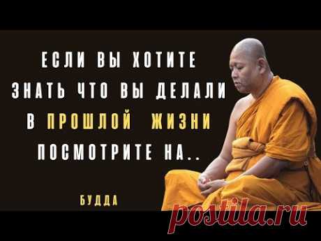 20 Лучших Цитат Будды Которые Меняют Мировозрение. Цитаты Великих Людей.