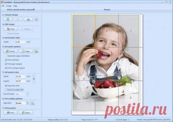 RonyaSoft Poster Printer -  RonyaSoft Poster Printer 3.01.19