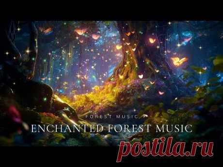 Enchanted Forest Music | 10 Hour Ambience Music & Nature Sounds 》Relax, Deep Sleep, Healing