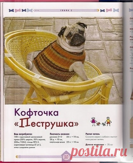 Вязание для собак
