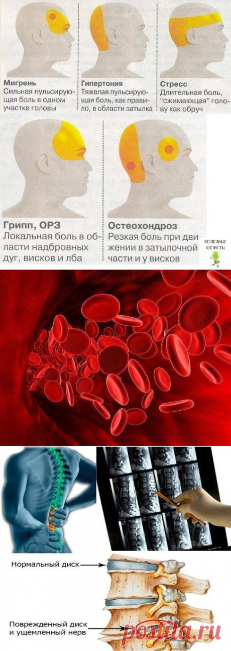 (97) Одноклассники