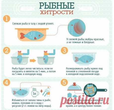 А вы любите рыбку? Держите несколько дельных советов: