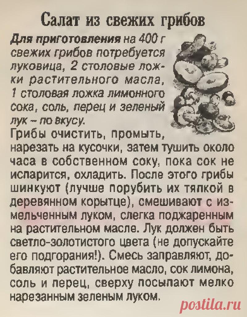 Салат из свежих грибов