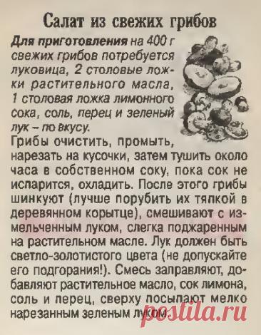 Салат из свежих грибов