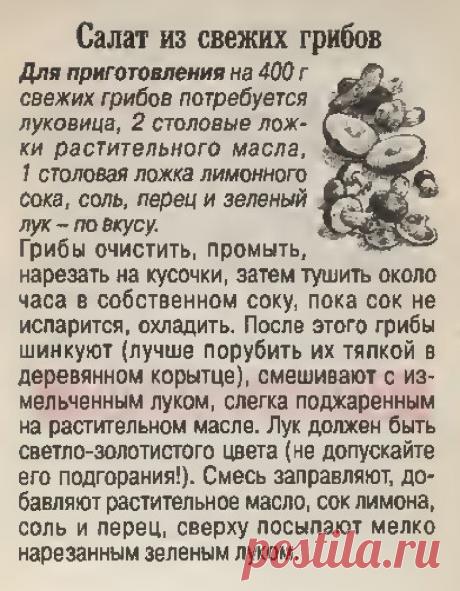 Салат из свежих грибов