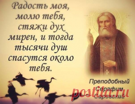 (83) Одноклассники