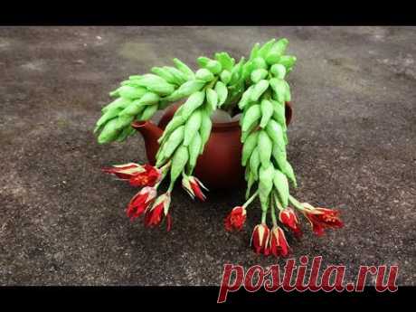 ABC TV | How To Make Donkey Tail Paper Flower - Craft Tutorial