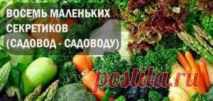 ВОСЕМЬ МАЛЕНЬКИХ СЕКРЕТИКОВ (САДОВОД - САДОВОДУ).
