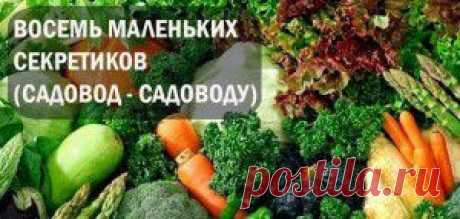 ВОСЕМЬ МАЛЕНЬКИХ СЕКРЕТИКОВ (САДОВОД - САДОВОДУ).