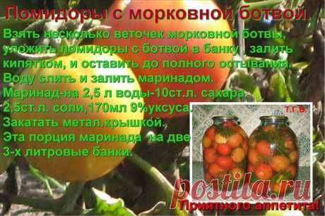 погребок | 37 фотографий