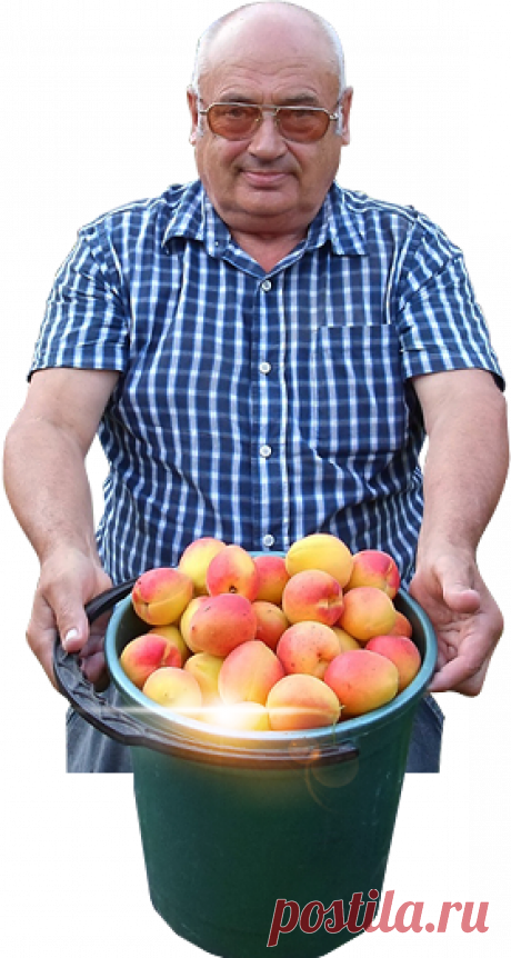 Коллекция семян В.Железова.
