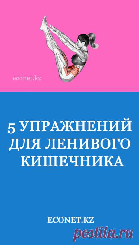 5 упражнений для ленивого кишечника

Гимнастические упражнения отлично помогают восстановить нормальную работу желудочно-кишечного тракта. При регулярном выполнении вы можете улучшить кровообращение и функционирование органов ЖКТ, избавиться от несварения желудка, вздутия и болей в животе, устранить тяжелые запоры. Эти пять упражнений помогут расшевелить ленивый кишечник.