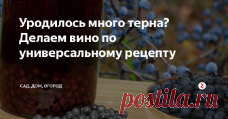 Уродилось много терна? Делаем вино по универсальному рецепту В этом году у нас терна уродилось столько, что деревья к земле пригибаются. Ну, делать нечего, не пропадать же добру, будем ставить вино. По этому рецепту вино делают мои родители, да и я несколько лет назад подключилась. Рецепт универсальный, подходит и для терна, и для винограда, а результат всегда великолепный.
Итак, рассказываю подробно. Для приготовления вина нам потребуются стеклянные бутыли