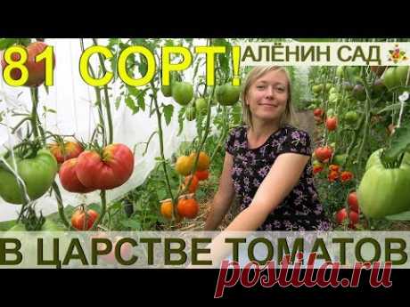 ТОМАТЫ