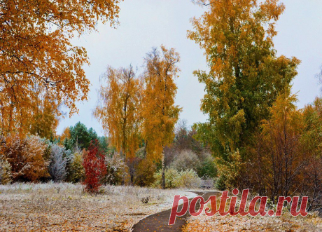 ФОТОМАСТЕРСКАЯ ПРИРОДЫ
Валентина Кобцева