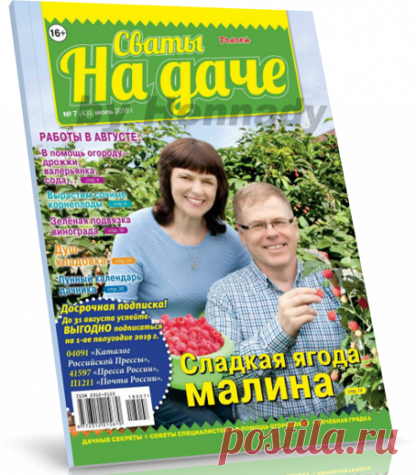 Читать журнал Сваты на даче №7 2018 бесплатно.