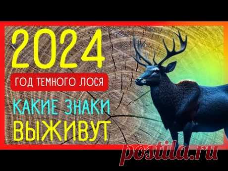 2024 год ТЕМНОГО ЛОСЯ. Прогноз по славянскому календарю | Приметы Советы