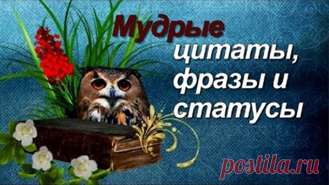Мудрые цитаты, фразы и статусы Мудрые мысли и высказывания великих людей о смысле жизни, о счастье.
Wise thoughts and statements of great people about the meaning of life, of happiness.

Подписаться на канал смотреть творческие видео: 
https://www.youtube.com/channel/UC0O_ZS4eiFZ6LU8MwrrA3NA
ФУТАЖИ бесплатные для создания видео скачать по ссылке:
https://www.youtube.com/playlist?list=PLosHmNl3ixyIe6WeznL6c6OQfAHL0axdA