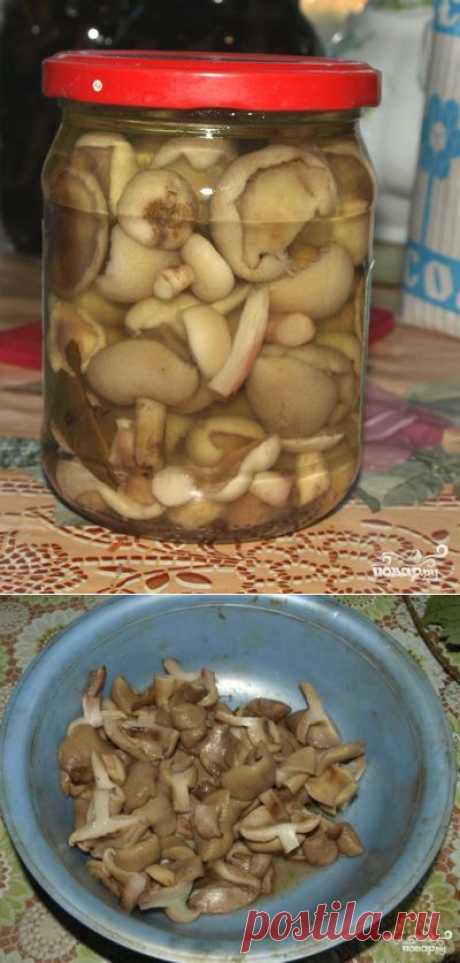Маслята маринованные - пошаговый кулинарный рецепт на Повар.ру