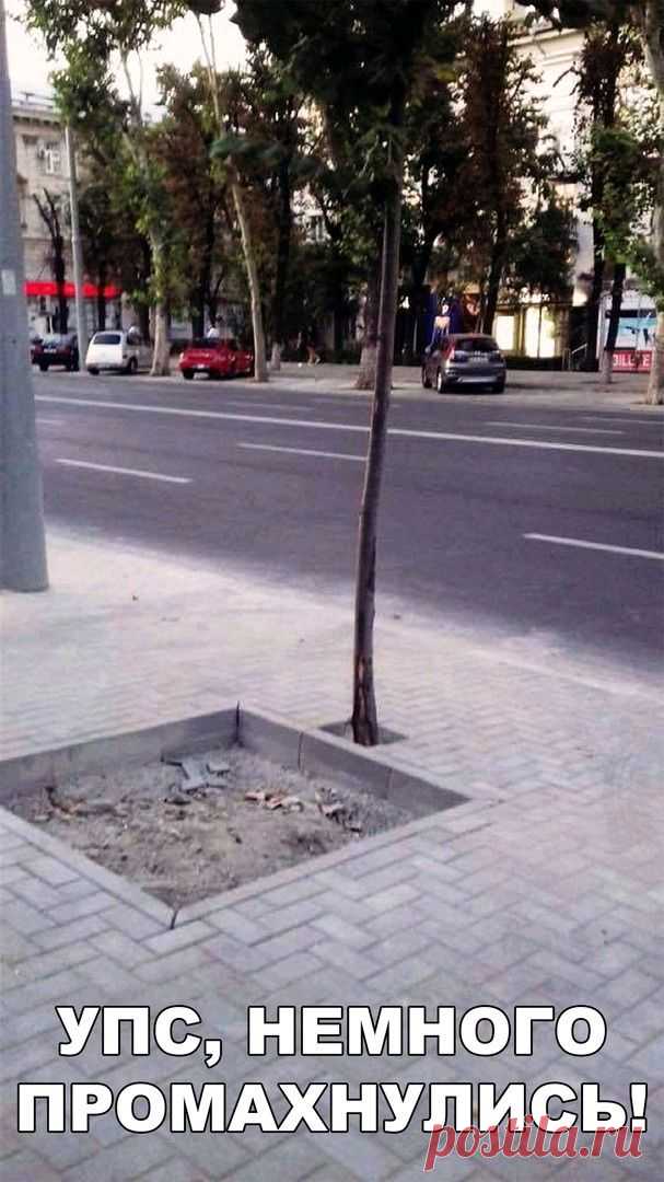 (3) Одноклассники
