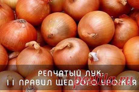 (51) Одноклассники