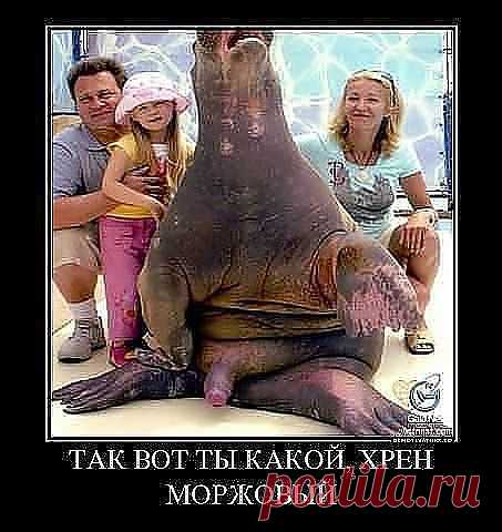 ОООО!