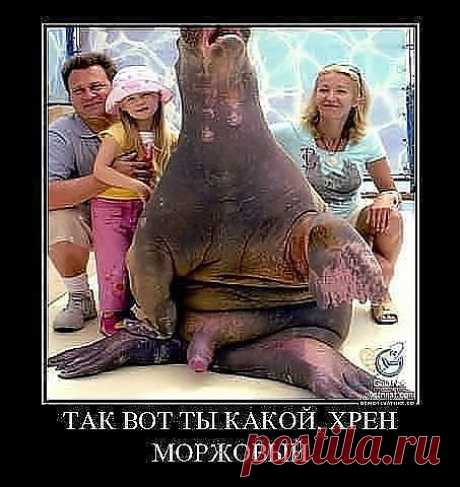 ОООО!