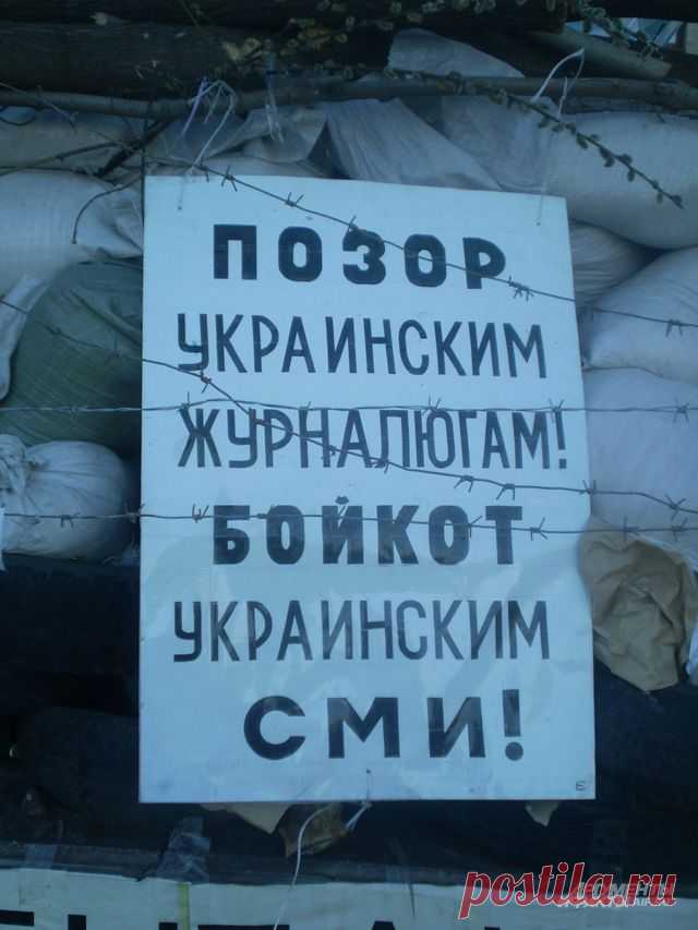Горит восток зарёю новой? Специальный репортаж «АиФ» с Донбасса | Репортаж | Евромайдан | Аргументы и Факты