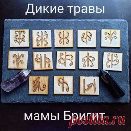 Дикие травы выполнены на березе, чудесный знахарский ряд мамы Бригит :
“1) восстановление/выравнивание гормонального фона (для травяных настоев внутрь)
2) восстановление энергообмена и энергобаланса ( для травяных настоев внутрь)
3) укрепление и подтяжка кожи, тонус мышц (крем для тела, соль для ванн, высадка растения)
4) правильная расшлаковка организма (для травяных настоев внутрь, слабительное)
5) витамины, поддержка истощенного тела (для травяных настоев внутрь, высадк...