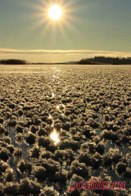 (+1) - Ледяные цветы на замерзшем озере | Улетные картинки