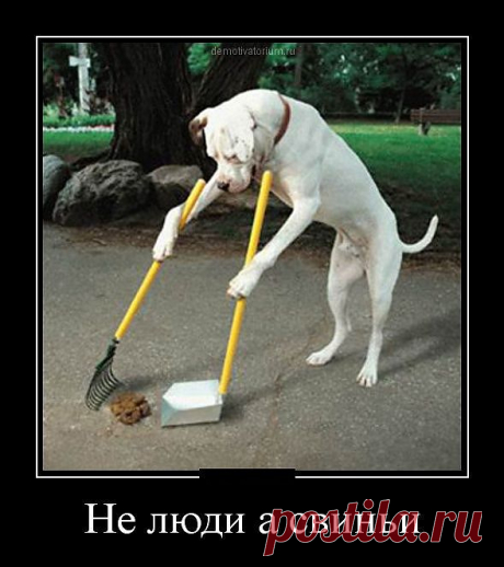 улыбнитесь!