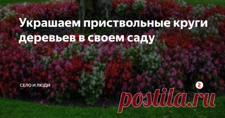 Украшаем приствольные круги деревьев в своем саду У каждого из нас на даче или участке есть деревья. Мы обычно под ними перекапываем с весны и белим.
Однажды я попала в гости к одной знакомой. Она, конечно, огородом не занимается, участок засадила деревьями и кругом зеленый газон с цветниками и цветущими кустарниками.
Что поразило, это красивые приствольные круги все в цветах, просто клумбы под деревьями.
Мне даже в голову не приходило, что можно