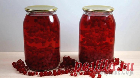 Компот из красной смородины на зиму