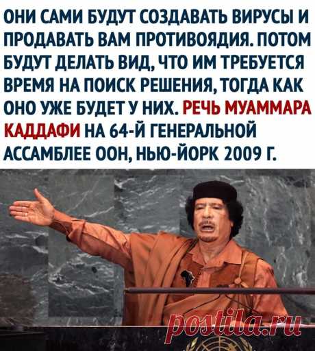 сначала создают вирусы, а потом вакцины: 1 тыс изображений найдено в Яндекс.Картинках